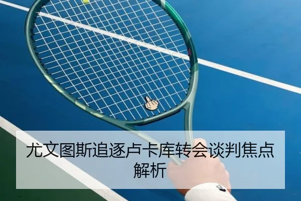 尤文图斯追逐卢卡库转会谈判焦点解析